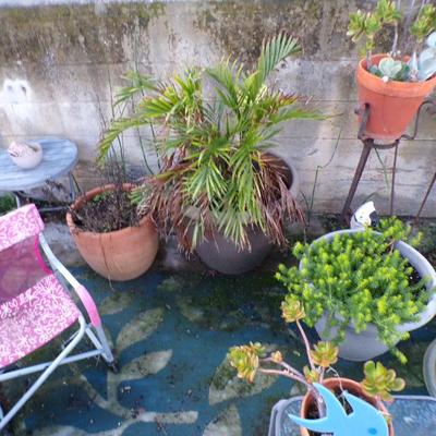 Sale Photo Thumbnail #150