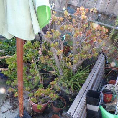 Sale Photo Thumbnail #156