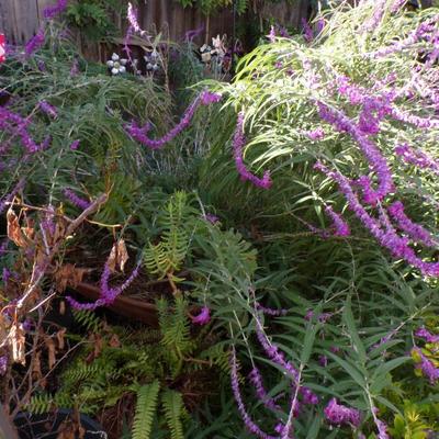 Sale Photo Thumbnail #177