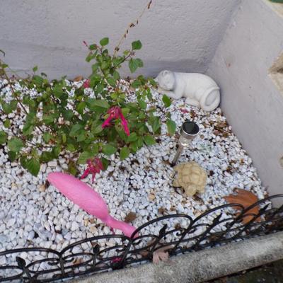 Sale Photo Thumbnail #118