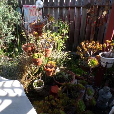 Sale Photo Thumbnail #146