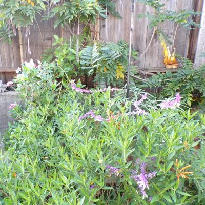 Sale Photo Thumbnail #176