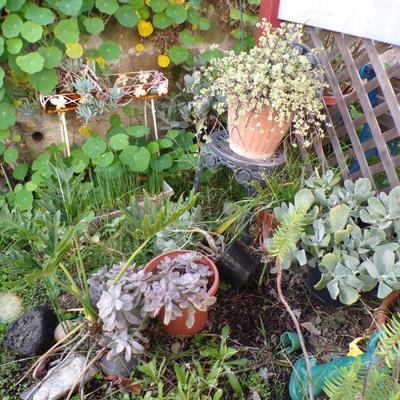 Sale Photo Thumbnail #166