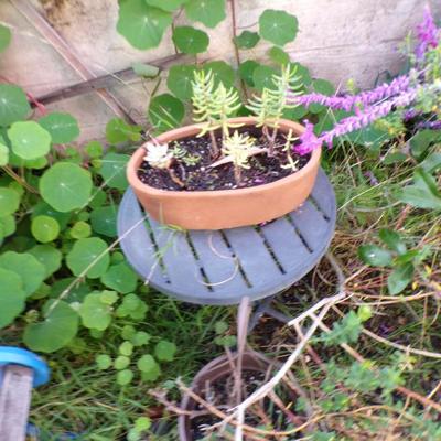 Sale Photo Thumbnail #171