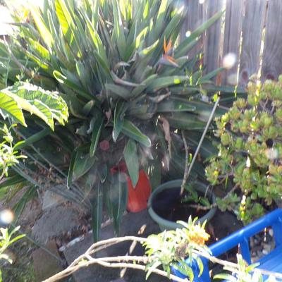 Sale Photo Thumbnail #112