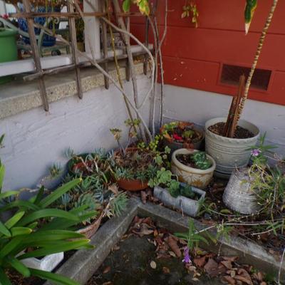 Sale Photo Thumbnail #123