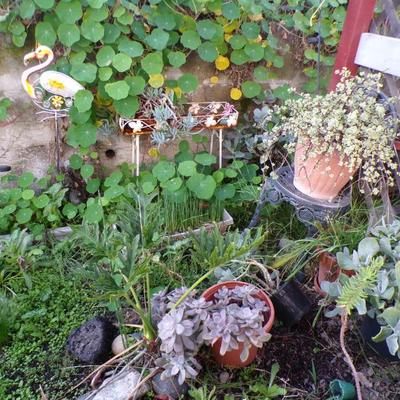 Sale Photo Thumbnail #165