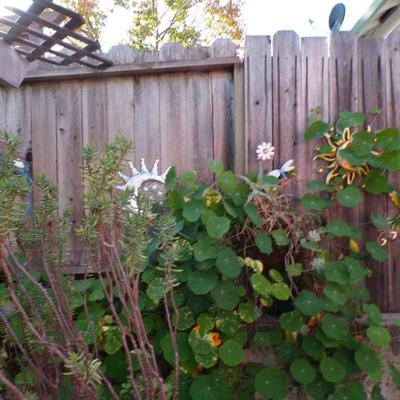 Sale Photo Thumbnail #170