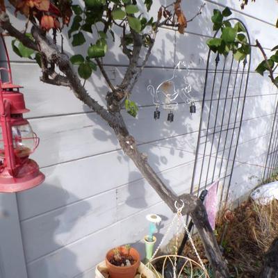 Sale Photo Thumbnail #138