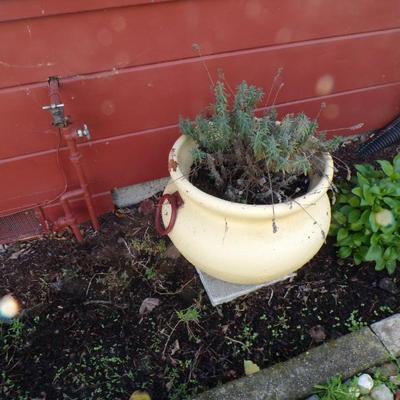 Sale Photo Thumbnail #127