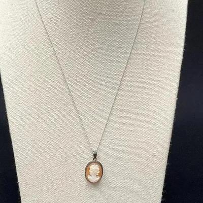14k Necklace With Sterling Silver Bezeled Cameo