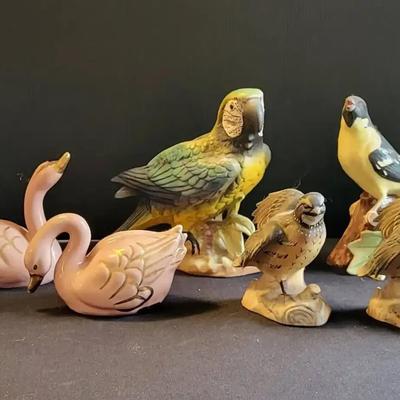 Napcoware Parrot & More (BR2)