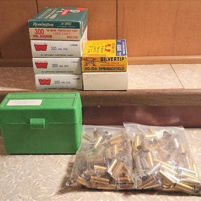 Brass Shell Variety (B)