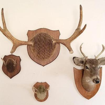 Antler Mounts (BR1)