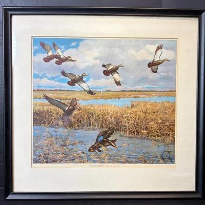 Group Of Waterfowl Framed Prints-Ducks, Geese