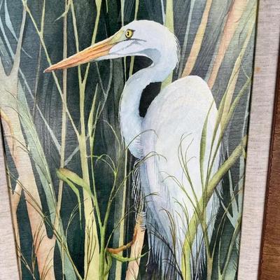 Snowy Egret By Gene Rizzo