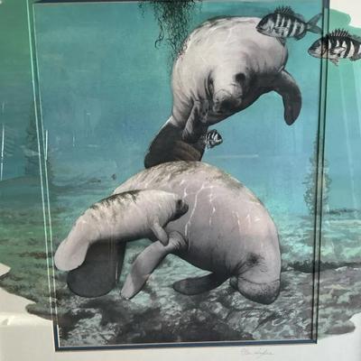 Manatees By Ellen Snyder