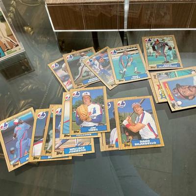 1990’s Wrestle Mania Cards