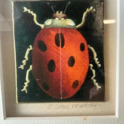 Ladybug By B Steltemeier