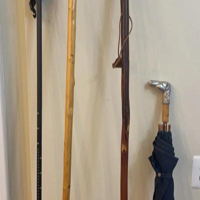 Walking Sticks And Umbrella