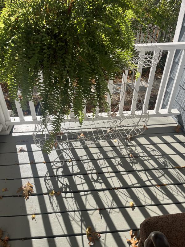 Sale Photo Thumbnail #2