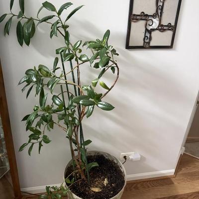 Sale Photo Thumbnail #38