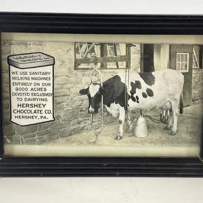 Sale Photo Thumbnail #359