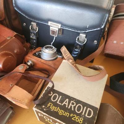 Sale Photo Thumbnail #154