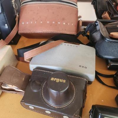 Sale Photo Thumbnail #153