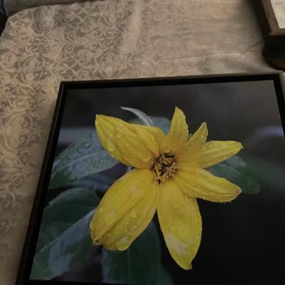 Sale Photo Thumbnail #22