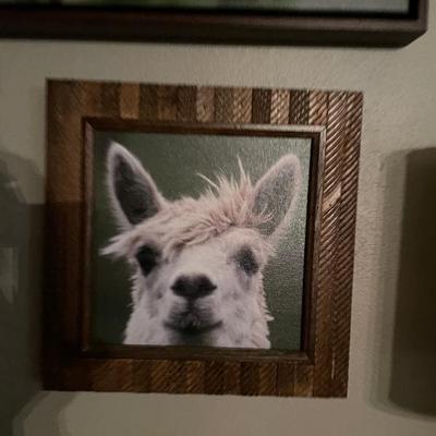 Sale Photo Thumbnail #3