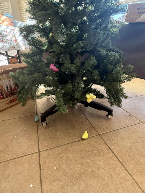 Sale Photo Thumbnail #21