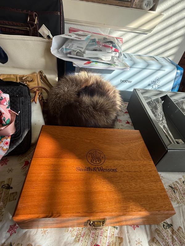 Sale Photo Thumbnail #16