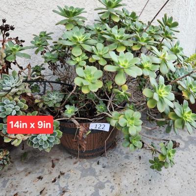 Sale Photo Thumbnail #370