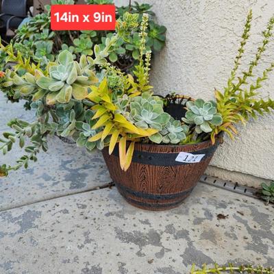 Sale Photo Thumbnail #368