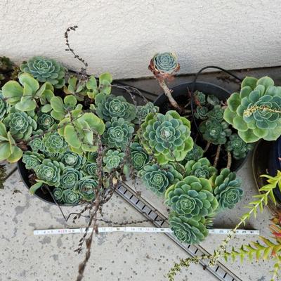 Sale Photo Thumbnail #363