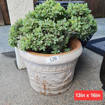 Sale Photo Thumbnail #380