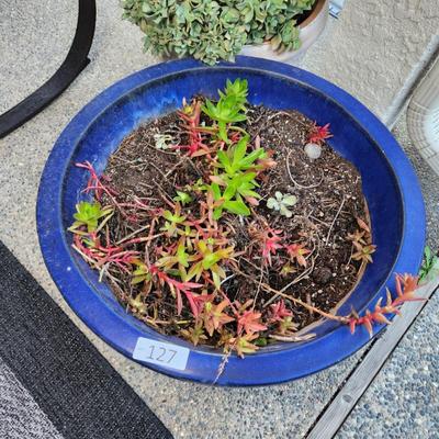 Sale Photo Thumbnail #383