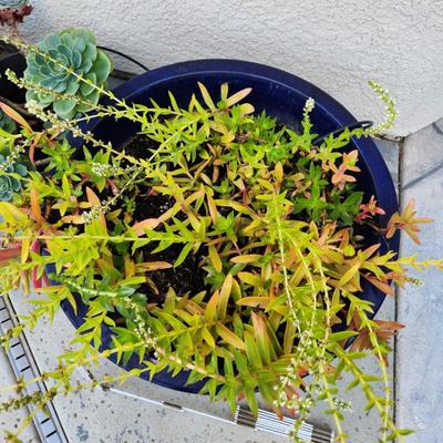 Sale Photo Thumbnail #361