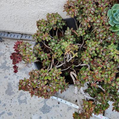 Sale Photo Thumbnail #365