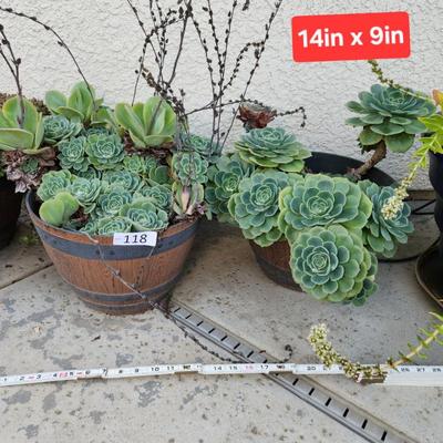 Sale Photo Thumbnail #362