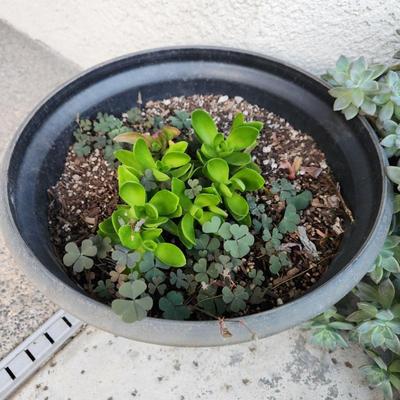 Sale Photo Thumbnail #375