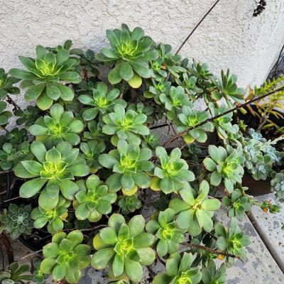 Sale Photo Thumbnail #371