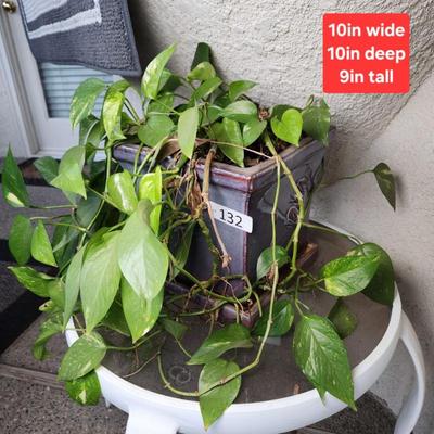 Sale Photo Thumbnail #397