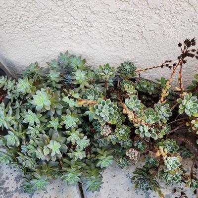 Sale Photo Thumbnail #373