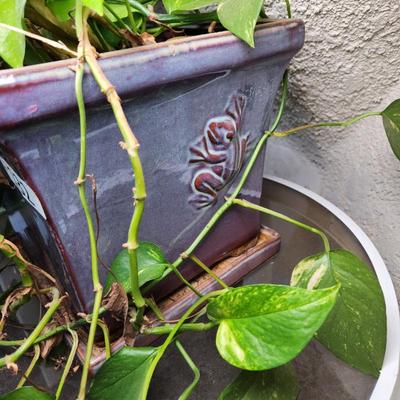 Sale Photo Thumbnail #398