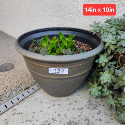 Sale Photo Thumbnail #374