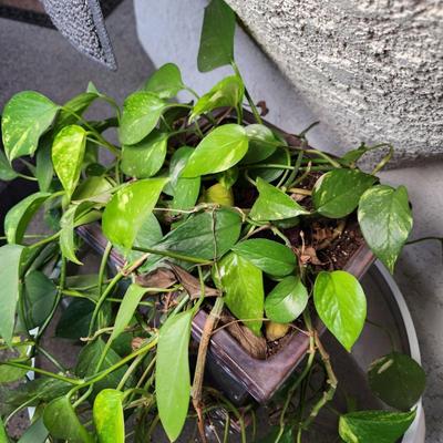 Sale Photo Thumbnail #399