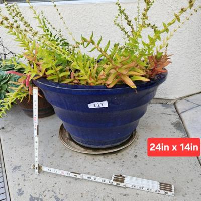 Sale Photo Thumbnail #360