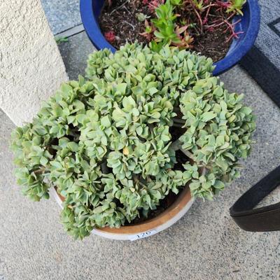 Sale Photo Thumbnail #381